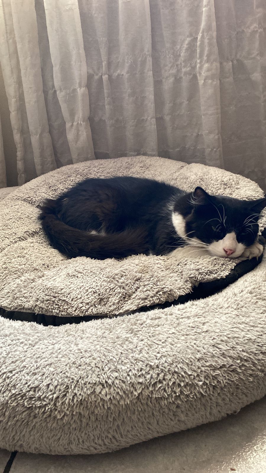 WhatsApp Image 2026-01-21 at 16.39.18 (1)