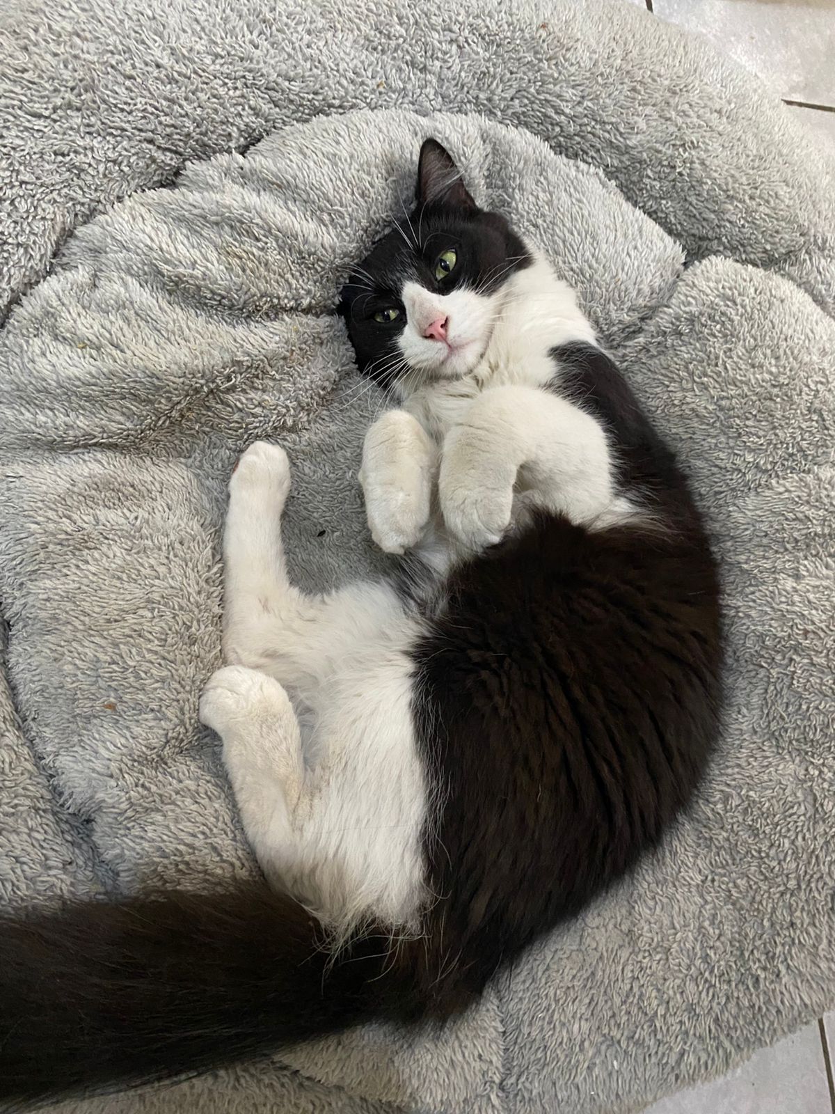 WhatsApp Image 2026-01-21 at 16.39.19 (1)