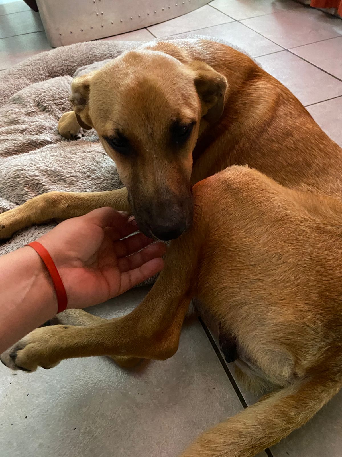 WhatsApp Image 2026-01-21 at 16.39.19