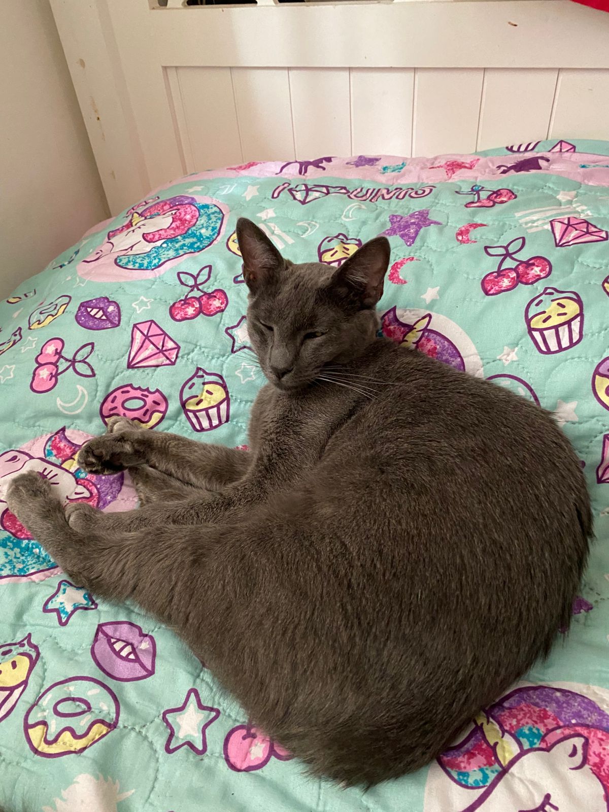 WhatsApp Image 2026-01-21 at 16.39.21