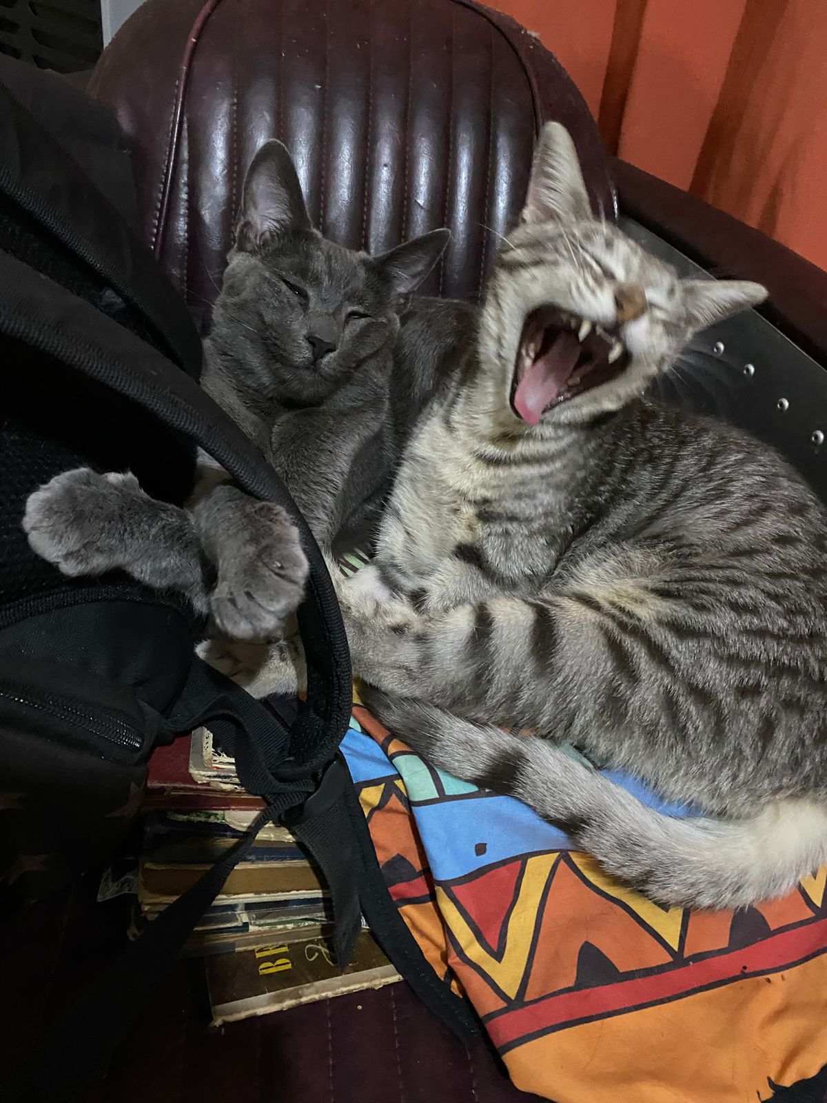 WhatsApp Image 2026-01-21 at 16.39.22