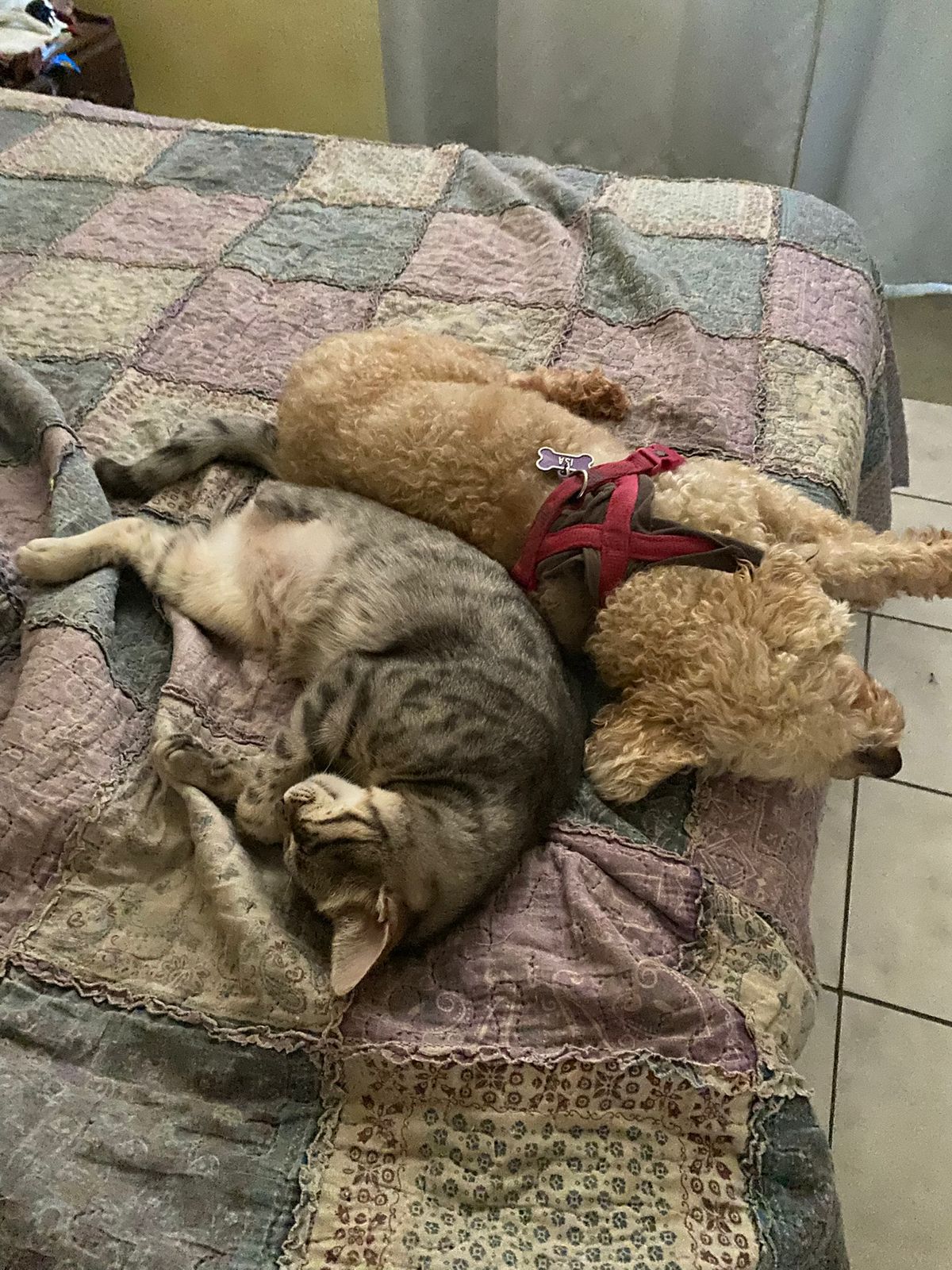 WhatsApp Image 2026-01-21 at 16.41.40