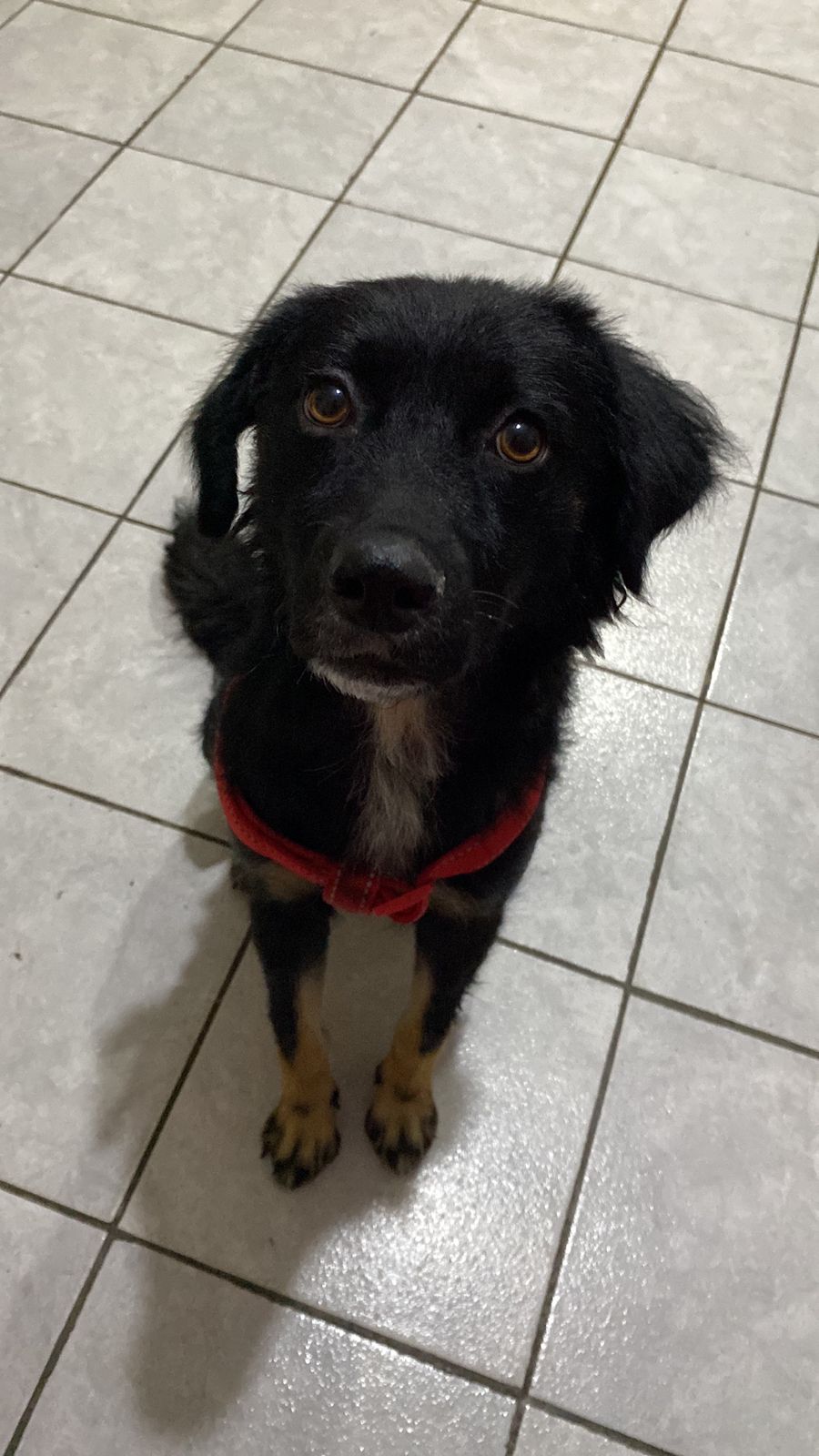 WhatsApp Image 2026-01-21 at 16.41.41 (2)